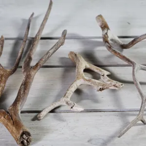 Driftwood Branches