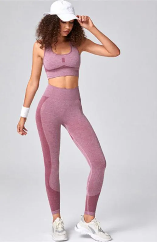 Women's Seamless Mesh Quick Dry Sports Bra And Leggings Gym Set